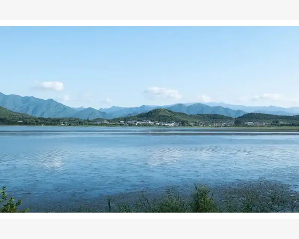 儿童脾胃虚弱，中药可助其健康成长