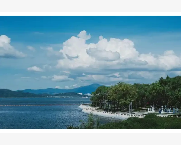 去湿气的良药：中医推荐策略与吃法